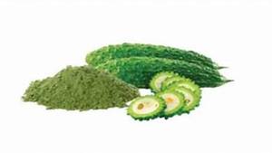 Poudre botanique de melon amer pur pour le soutien du système immunitaire avec un sac en vrac d'ingrédients à base de plantes Clean Label - Product Image 3