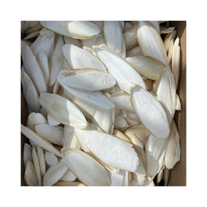 Os de seiche séchés en gros, nourriture pour oiseaux de compagnie, calcium naturel pour la santé du bec, qualité d'exportation, prix compétitif pour les détaillants - Product Image 3