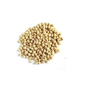 Soja générique sans OGM à vendre - Product Image 6