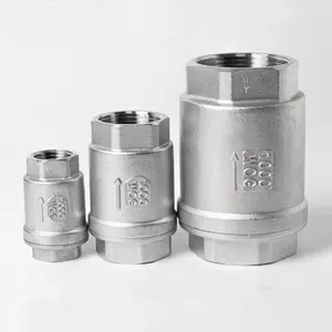 316 Spring Check Valve Vertical Check Valve Factory Directly Supplier Stainless Steel 304 Female Valvula Check