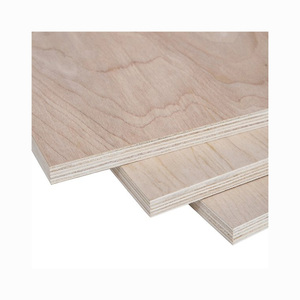 Custom Best Quality 18MM Thickness UV White Lacquered Birch Plywood for Manufacturing 3mm 5mm 9mm 12mm 15mm 18mm Commercial Plyw - Product Image 1