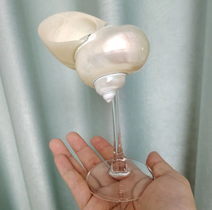 Ensemble de 2 verres à martini élégants en forme de coquillage, gobelets en coquillage organique pour les fêtes estivales à la plage - Macy - Product Image 2