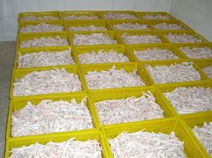 Precio Bajo de Patas de Pollo Halal Congeladas, Precio al por Mayor para Patas de Pollo - Product Image 3