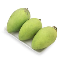 Kemasan dalam kotak mangga segar menjual dalam jumlah besar mangga dari pertanian VIETNAM panen baru