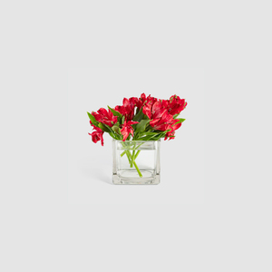 WGV VCB0005A Florero Moderno de Cristal Transparente 5x5, Cubo de Cristal para Arreglos Florales de Mesa, Portavelas para Uso Diario - Product Image 4