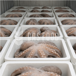 Gurita Vulgaris Indonesia Makanan Laut Frozen berkualitas tinggi seluruhnya gurita Vulgaris untuk restoran makanan laut
