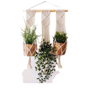Customized Macrame Plant Hanger for <b>Wall</b> and Window Decoration - Product Image 1