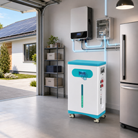 Batería LiFePO4 con Ruedas Shuoyi 51.2V 314Ah 16.1kWh, Almacenamiento de Energía Doméstico con WiFi, 1 Año de Garantía, Venta al Por Mayor