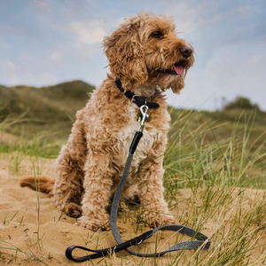ปลอกคอสุนัขหนังพรีเมี่ยมหรูหราหรูหรากระดุมแข็งดีไซน์เรียบง่ายสุนัขขนาดใหญ่ขนาดเล็กทนทานระบายอากาศได้ดีเป็นมิตรกับสิ่งแวดล้อม - Product Image 5