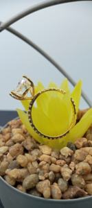 Luxury Women's 18K <b>Gold</b> Classic Wedding <b>Costume</b> Ring Full VVS Natural Diamond Rounded Baguette for Certified - Product Image 6