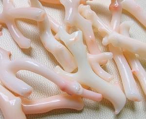 <b>Stick</b> Japanese Coral, 13 pieces, White Coral <b>Smooth</b> Polished <b>Stick</b> , White Coral Pink <b>Stick</b> Loose Gemstone - Product Image 2