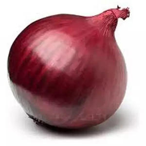 หัวหอมสีแดงสดขนาดใหญ่ขายดีคุณภาพสูงราคาขายส่งจำนวนมากหัวหอมสดที่ดีที่สุดสำหรับการส่งออกมีความต้องการสูง - Product Image 4