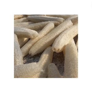 Exportation de loofah séché de haute qualité avec prix bon marché fabriqué au Vietnam - Product Image 2