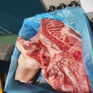 Carne de cerdo congelada austriaca de alta calidad con proceso IQF, carcasa media/completa, cola de hígado entera, patas de cerdo, stock a granel, venta al por mayor, precio barato - Product Image 5