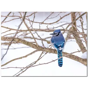 24 \ "X 18 \" Pájaro Azulejo de cerámica Mural de pared PT500172 Juego de 12 azulejos 6x6 - Product Image 1