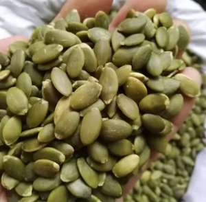 เมล็ดแตงโมออร์แกนิกคุณภาพพรีเมียม พร้อมส่ง เมล็ดฟักทองอบแห้งจำนวนมาก แบบดิบ - Product Image 5