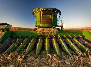 เครื่องเก็บเกี่ยวข้าวโพดประสิทธิภาพสูงสำหรับการเก็บเกี่ยวธัญพืชในฟาร์มขนาดใหญ่ - Product Image 5