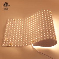 Panneau matriciel LED Raymates 420 LED 24V CRI 90, feuille LED flexible pour l'éclairage d'hôtels/restaurants/aménagements paysagers, CE/ROHS/ETL/UL, 5 ans de garantie
