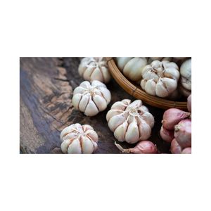 Best Quality <b>Fresh</b> Peeled <b>Garlic</b> for Sale in Cheap Price - Product Image 3