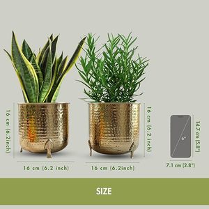 Maceta Perfection Macter puede transformar sus plantas, planta de amor, elevando su vegetación con macetas elegantes - Product Image 4