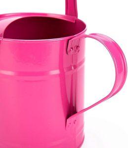 Grand arrosoir en laiton véritable de qualité Pouce rose élégant pour les jardins luxuriants et les maisons pour l'entretien des pots de fleurs en plein air - Product Image 2