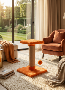 Amistar ฟักทองคุณภาพสูงดีเกาแมวสำหรับแมวทุกสายพันธุ์และขนาด - Product Image 5