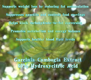 Fourniture directe d'usine HGO d'extrait naturel pur de Garcinia Cambogia (qualité alimentaire) 60% d'acide hydroxycitrique (extrait standardisé) - Product Image 5