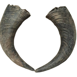 BUFFALLO HORN CARVED <b>DOG</b> ANIMAL ORGANIC MATERIAL CHEOO - Product Image 6