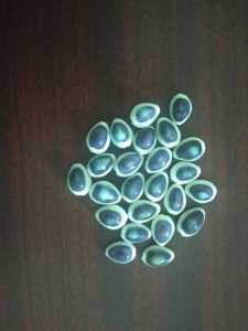 Custom Made Eagle Themed Sequined and <b>Beaded</b> Drop Earrings for Fashion for Jewelry Designers and Accessory Stores - Product Image 3