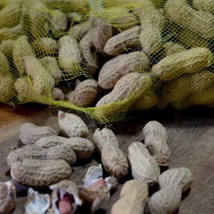 Arachides fraîches naturelles, arachides de qualité supérieure, délicieuses collations grillées en vrac, parfaites pour les achats en gros - Product Image 3