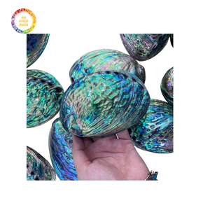 เปลือกหอยเป๋าฮื้อเปลือกหอยเคลือบเงาสีสันสดใสสำหรับฝังเครื่องประดับ - Product Image 1