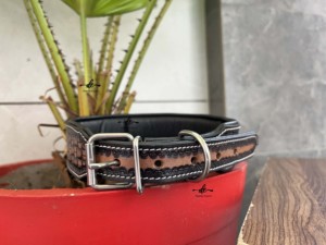 Hermoso diseño, collar de perro de cuero mecanizado a mano, Cráneo, patrón occidental, collares para mascotas, venta al por mayor, producto a granel, usos múltiples - Product Image 3