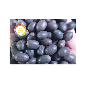 VIETNAM BLACK LOTUS SEEDS PRODUIT NATUREL PROPRE POUR LES APPLICATIONS ALIMENTAIRES AVEC UNE QUALITÉ D'EXPORTATION DE QUALITÉ SUPÉRIEURE - Product Image 6