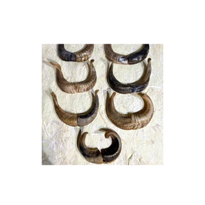 ของตกแต่งรูปเขาแกะและของติดผนัง - Product Image 4