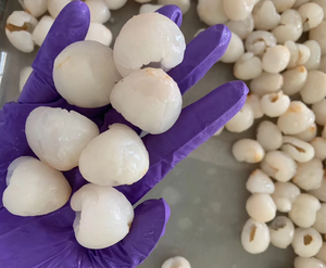 ลิ้นจี่แช่แข็งคุณภาพพรีเมี่ยมจากเวียดนาม - Product Image 5