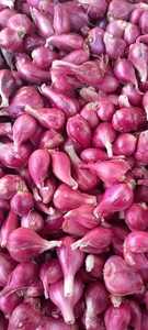 Échalote violette vietnamienne congelée | Fraîche coupée et congelée - Product Image 2