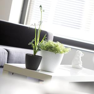 Lot de 4 pots de fleurs ronds en plastique Prosperplast Splofy 5L de couleur crème, 21,8x18,4cm + 1 lot de 6 outils de jardin GRATUIT - Product Image 4