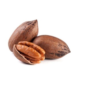 Nueces de pecán agrícolas frescas disponibles/ Nueces de pecán crudas/ Nueces de pecán procesadas - Product Image 1