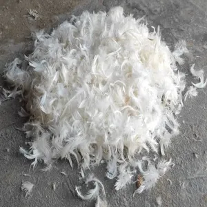 Plumes de canard légères naturelles luxueuses chaleur et durabilité ultimes pour les coussins de vêtements d'extérieur de literie-teints et lavés - Product Image 3