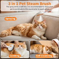 Brosse vapeur démêlante UV pour toilettage des animaux (chiens et chats) avec batteries rechargeables, livraison rapide, vente en gros
