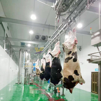 Mini-équipement complet d'abattoir de bovins Ligne d'abattage halal de vaches Équipement de boucherie Machine de traitement de la viande bovine