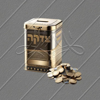 Boîte de charité islamique la plus vendue boîte d'économie de pièces boîte de donation de luxe en acier inoxydable en métal de qualité fantaisie mosquée conteneur de charité
