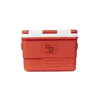 Glacière isotherme Tan90 de 25 litres à motif géométrique, étanche, en plastique, pour le stockage alimentaire, exportation indienne, facile à transporter, pour fleurs et tofu