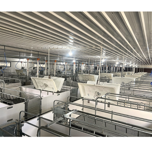 Caisses de mise bas de porcs en acier inoxydable de meilleure qualité pour porcs propres et ventilées - Product Image 3