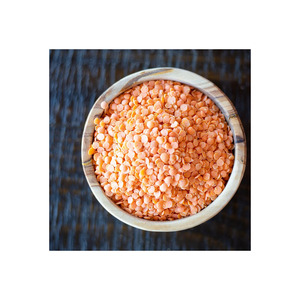 Lentejas rojas de alta proteína ofrecidas a granel con suministro directo de fábrica - Product Image 5