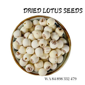 2024 VIETNAM Semillas de loto secas de alta calidad Puro y limpio para beneficios de salud Económico - Product Image 6
