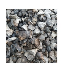 Gránulos de Carbón Activado de 7 mm de Cáscara de Palma, Residuos Agrícolas, Producto de Carbón de Alta Calidad, Marca Personalizada de Canadá - Product Image 3