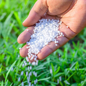 Proveedor Mayorista de Fertilizante de Nitrato de Prill Soluble para Plantas de Interior, Suculentas y Uso Hidropónico - Product Image 1