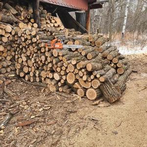 Fire wood Dried Pine Firewood/Acacia Firewood and <b>Oak</b> Firewood <b>Logs</b> at Factory Price - Product Image 6