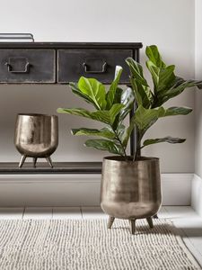 กระถางต้นไม้โลหะตกแต่งสีทอง เหมาะสำหรับปลูกไม้พุ่มดอก และไม้ดอกตามฤดูกาลในสวนและลานบ้าน - Product Image 4